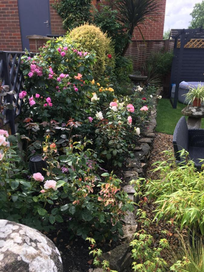 The Edwardian Lodge Guest House Salisbury Extérieur photo